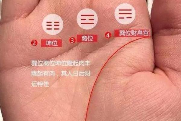 掌握手相密码：揭秘适合老板命的手相特征