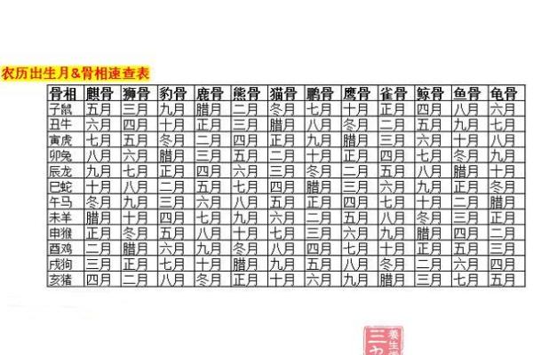 门牙外凸命格解析：从面相看性格与运势