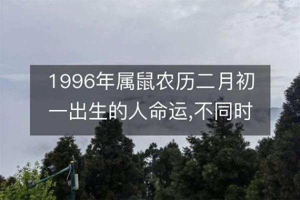 深入探讨：农历1996年属鼠的人命运解析