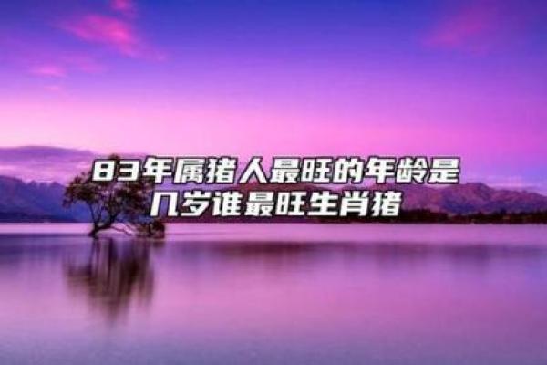 2019年属猪人士的命理解析与人生运势展望