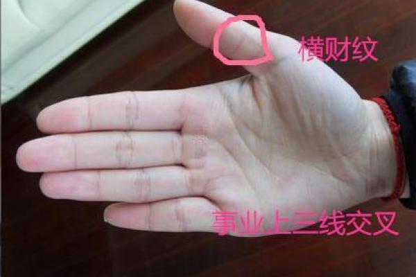 女命财运解析：揭秘她们财运背后的秘密与象征