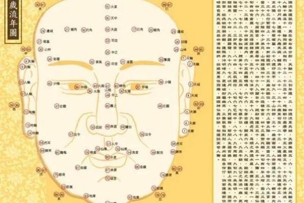 探秘人生命格：三种命理解读与人生启示