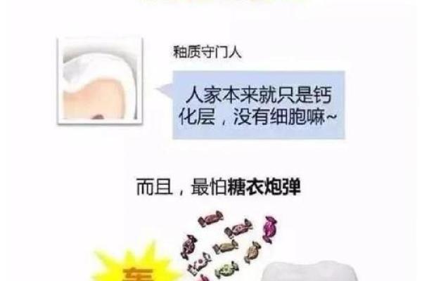 为何总是容易生病？你的命运与健康之间的深刻联系