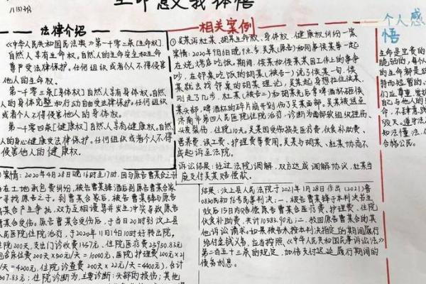 1991年出生的金命之人：探寻他们的命理与人生之旅