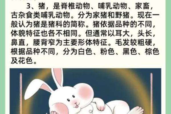 富婆命属什么生肖？探索生肖与财富的神秘关系