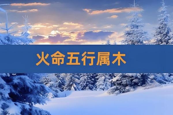 九四年火命独特解析：属于哪个火命与命理的奥秘