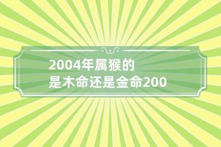 2019年猴年运势分析：如何把握命运与机遇之钥？