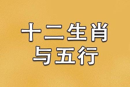 1959年命格解析：探秘生肖与五行的秘密