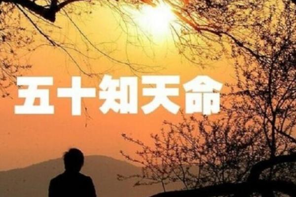 阴历1957年出生的人命运解析：温文尔雅的“火”命人生