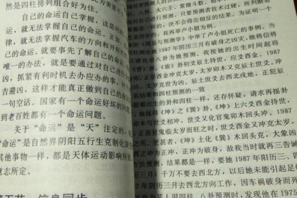 命运的解读：1993年出生者的生活与挑战