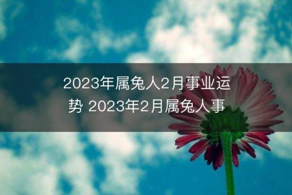 2023年兔年命理揭秘：你知道兔年的命运和运势吗？