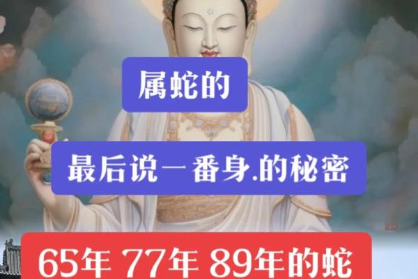 65年属蛇的命运解析：如何在生活中展现智慧与魅力