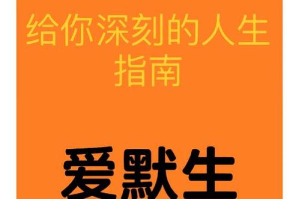 92年属猴的命运与性格分析，美好生活的追寻之路