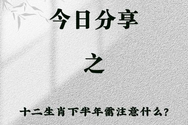 2013年兔命的命理解析与人生建议：如何迎接好运与挑战