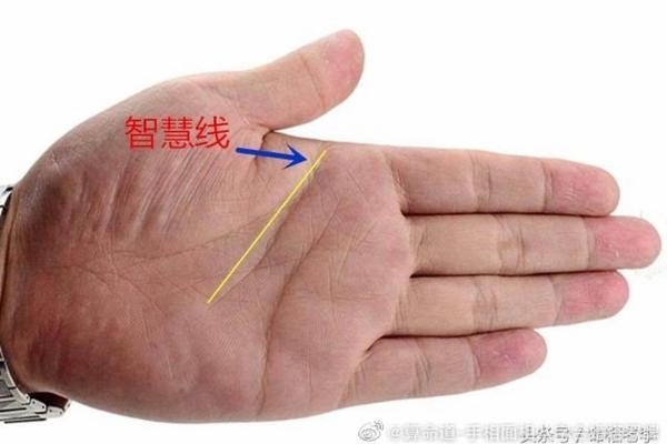 解析哑巴命格：命理中的沉默与智慧之道