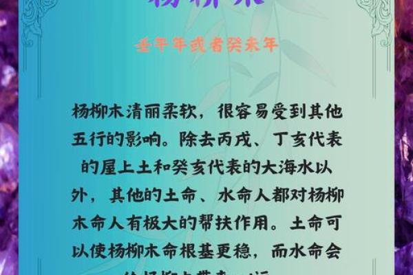 探秘五行之木命与水命：命理背后的深厚智慧