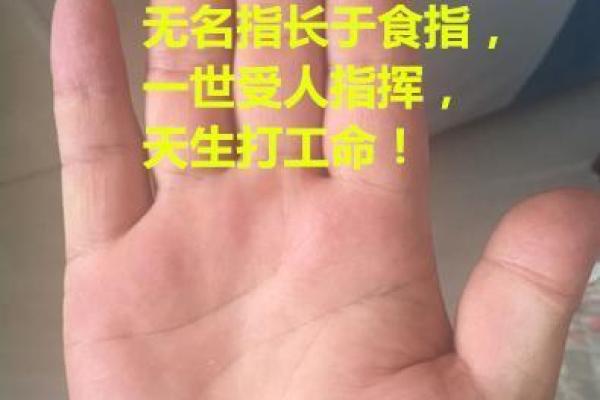 2000年出生的人命运解析：揭秘你的命格与人生轨迹