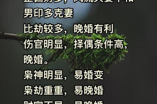 从命理看，什么命的人最爱赌钱？揭秘赌博背后的八字秘密！