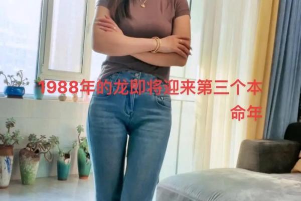 探秘1988年属龙女的命运：她的独特之路与人生启示