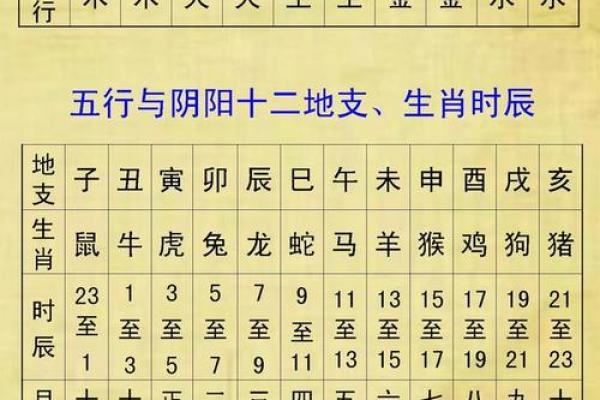 1981年属什么？五行命理解析与生活启示