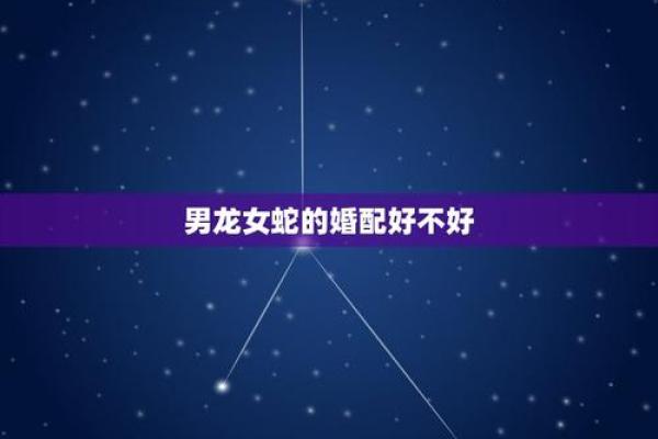 探寻八字三羊之命的奥秘与人生启示