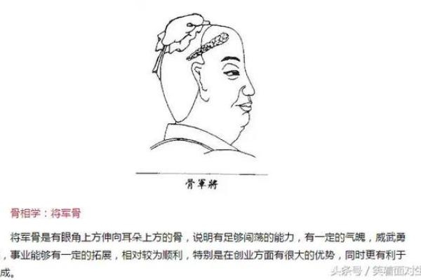 揭秘骨相与女人富贵命的奥秘，助你走向人生巅峰