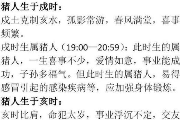 2003年出生的人：他们的命运与性格解析