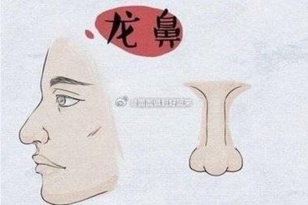 女生有鼻子是什么命：福气与挑战并存的独特人生