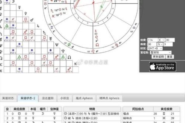 阿蝉命盘的主星解析：揭秘命理背后的智慧与秘密