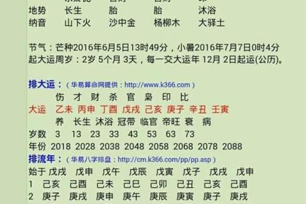 1980年命格分析：揭示生辰八字中的喜用神之谜