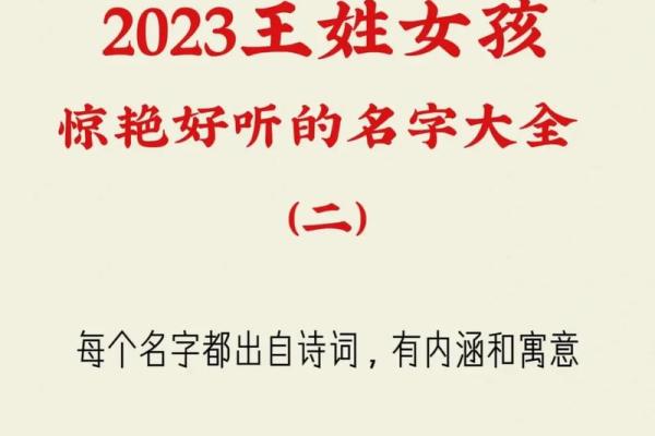 2023属兔人如何利用命理提升运势与生活品质