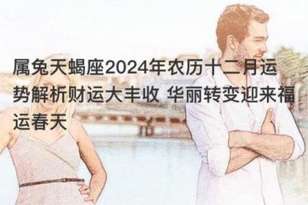 2023属兔人如何利用命理提升运势与生活品质