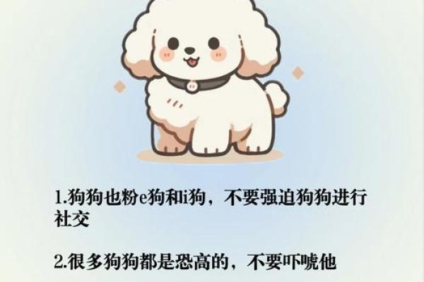 为什么命运不允许你养犬？揭开背后的秘密与故事