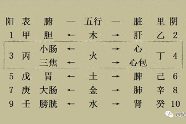 1995年腊月出生的男孩命运解析：解读五行与人生之道