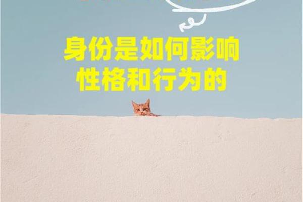 揭示命运与性格的奥秘：如何通过性格理解人生轨迹