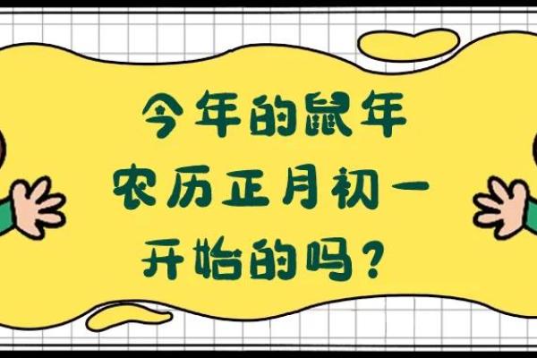 2019年：猪年命理解析与生活智慧