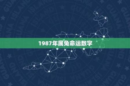 1987年属什么命：每种命运的特点与发展之道