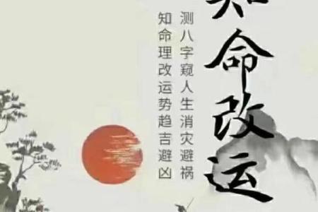 二零二零年老鼠年：运势解析与生活哲学的探索