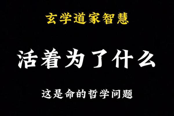 说话很准的人是什么命？解密他们的命理特征与生活哲学