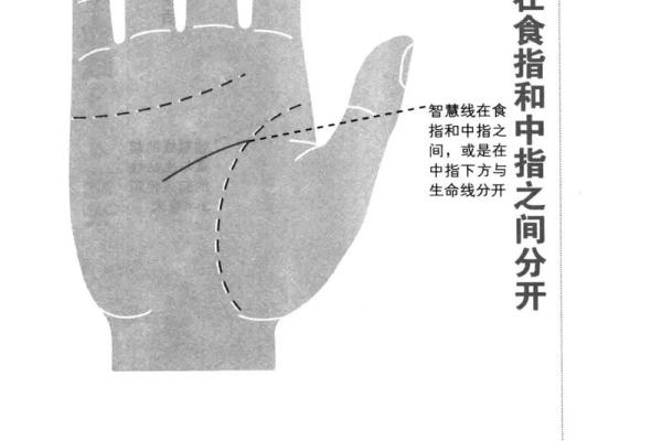 手纹解密：通过手纹探索命格的奥秘与人生选择