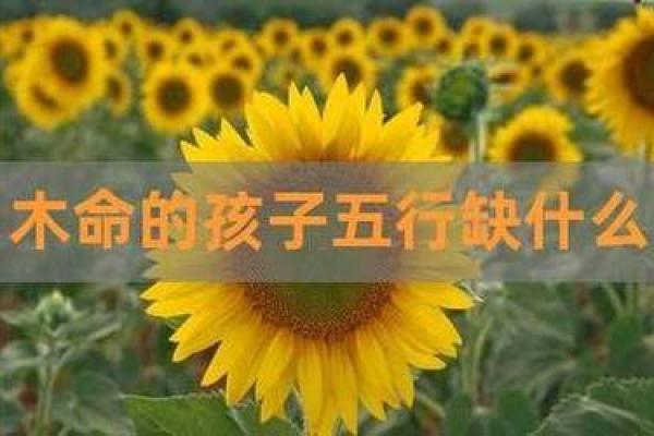 2023年如何选择宝宝的五行水命，让孩子更具好运与未来潜力