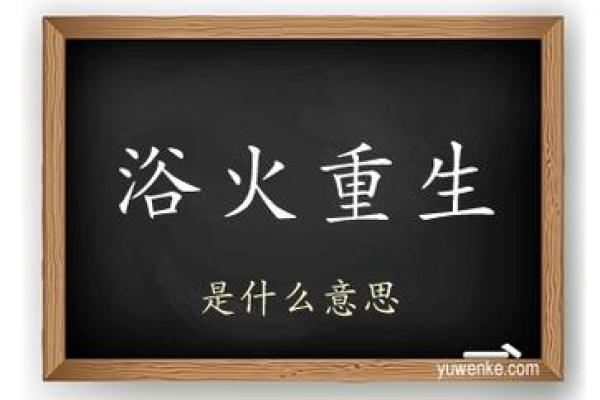 火焰重生：2017年鸡年人的命运与潜能探索