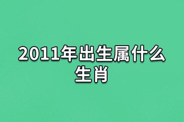 1987年属兔的命运与生活智慧：如何把握每一个时刻