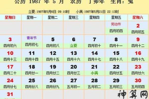 2013癸巳年：揭开天干地支与命运的神秘面纱