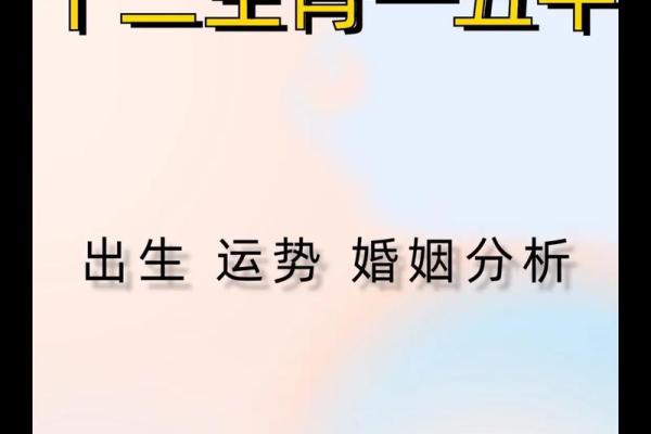 1995年是什么生肖与命理解析：揭示你的命运之路！