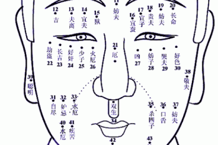 腊月出生的人命运解析：隐藏的性格与命运特征