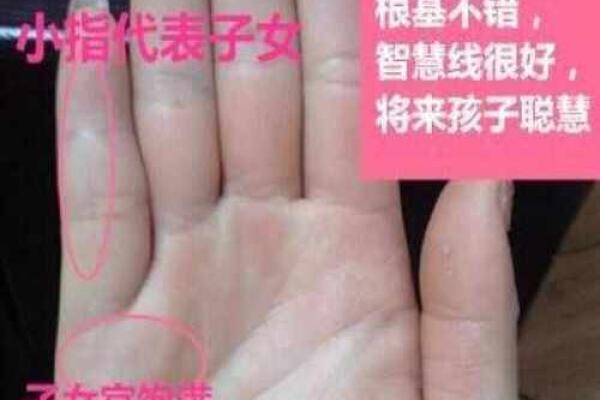 女命旺者性格解析：聪慧、坚韧与魅力并存