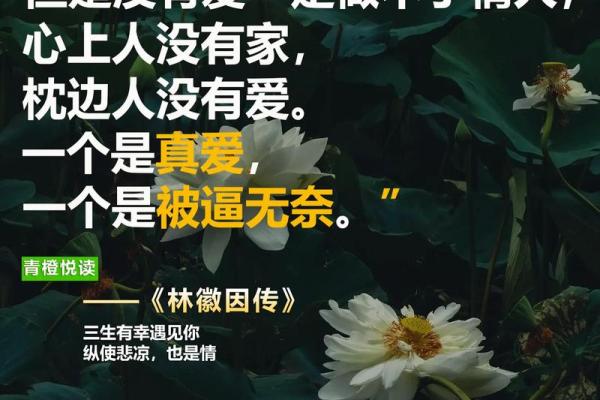 金命与火命之美：选择适合的名字，为人生增光添彩