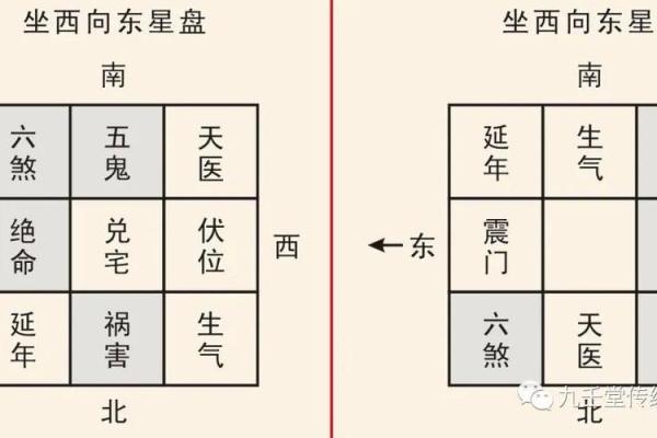 命格与命卦：神秘的命理学两个维度探索