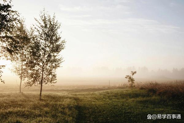 喜欢你的人是什么命运？从命理看情感的奥秘